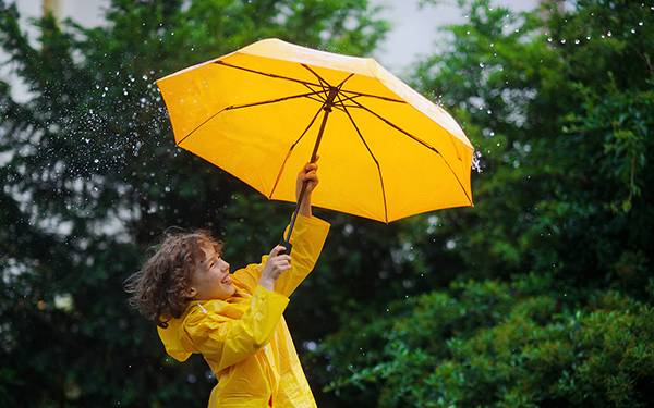 雨傘商標(biāo)轉(zhuǎn)讓流程以及類(lèi)別