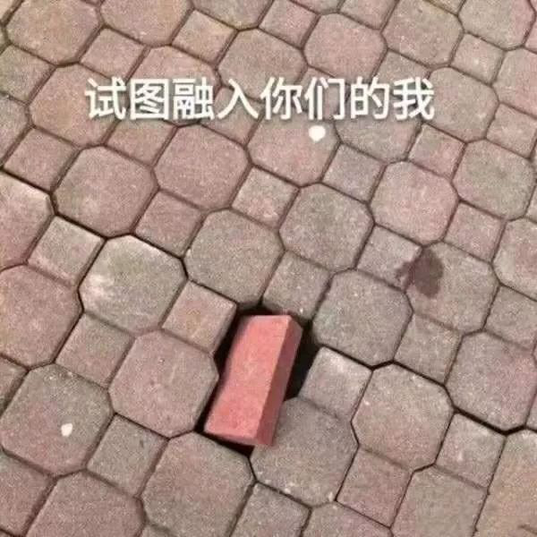 “nss、xswl、pyq、cx、zqsg、走花路……”細數(shù)那些被注冊商標的00后黑話