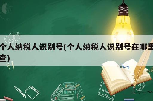 個人納稅人識別號(個人納稅人識別號在哪里查)