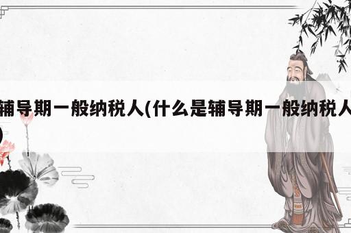 輔導期一般納稅人(什么是輔導期一般納稅人)