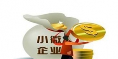 小微企業標準稅收優惠(企業所得稅優惠)