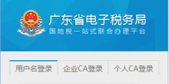 外經證辦理流程(電子稅務局開具外經證流程)