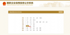 年度申報怎么申報(企業年報網上申報流程)