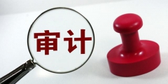專項審計包括哪些內容(專項審計什么意思)