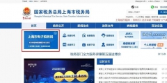 納稅清單開具操作流程(個人納稅清單查詢系統入口)