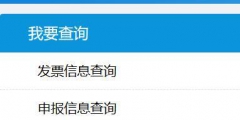 一般納稅人資格證明怎么查(一般納稅人在電子稅務局查詢方法)