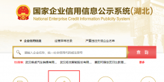 國家企業信用公示信息系統湖北入口(工商年報公示流程)