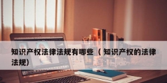 知識產權法律法規有哪些（ 知識產權的法律法規）