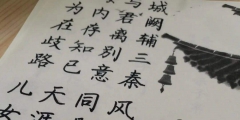 到了這歲數（到了這歲數了就該養身體）