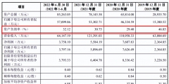 2023年北京怎么注冊內資股份公司（）