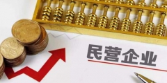 股份有限公司設立條件(股份制企業是什么意思)