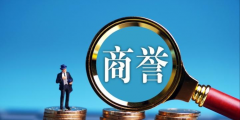 商譽屬于什么資產(商譽屬于企業的無形資產嗎)