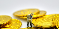 信托和基金的區別(信托和基金的關系)