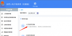 企業個稅怎么網上申報操作流程(企業個稅申報系統申報流程)