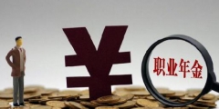 職業年金單位和個人的比例(領取職業年金的條件)