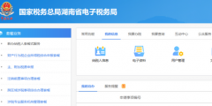 財務會計制度備案信息怎么填(電子稅務局財務會計制度備案流程)