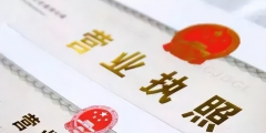 申請執照副本數量怎么填寫(公司登記備案申請書模板)
