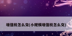 增值稅怎么交(小規模增值稅怎么交)