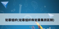 犯罪組織(犯罪組織和犯罪集團區(qū)別)