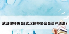 武漢律師協會(武漢律師協會會長嚴道清)