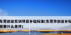 東莞創(chuàng)業(yè)實訓(xùn)項目補(bǔ)貼標(biāo)準(zhǔn)(東莞市創(chuàng)業(yè)補(bǔ)貼需要什么條件)