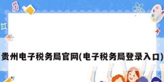 貴州電子稅務局官網(電子稅務局登錄入口)