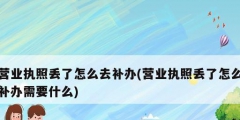 營業執照丟了怎么去補辦(營業執照丟了怎么補辦需要什么)