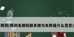 期初(期初未繳稅額多繳為負數是什么意思)