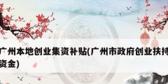 廣州本地創業集資補貼(廣州市政府創業扶持資金)