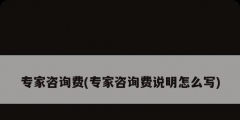 專家咨詢費(fèi)(專家咨詢費(fèi)說(shuō)明怎么寫(xiě))