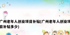廣州老年人創業項目補貼(廣州老年人創業項目補貼多少)