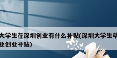 大學生在深圳創業有什么補貼(深圳大學生畢業創業補貼)