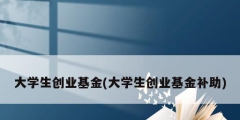 大學生創業基金(大學生創業基金補助)