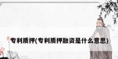 專(zhuān)利質(zhì)押(專(zhuān)利質(zhì)押融資是什么意思)