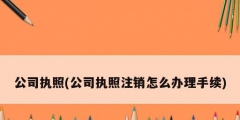 公司執照(公司執照注銷怎么辦理手續)