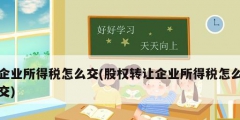 企業所得稅怎么交(股權轉讓企業所得稅怎么交)