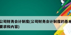 公司財務會計制度(公司財務會計制度的基本要求和內容)