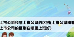 上市公司和非上市公司的區別(上市公司和非上市公司的區別在哪里上班好)