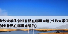 長沙大學生創業補貼在哪里申請(長沙大學生創業補貼在哪里申請的)
