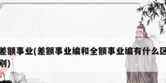 差額事業(差額事業編和全額事業編有什么區別)