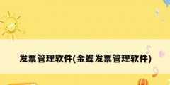 發票管理軟件(金蝶發票管理軟件)