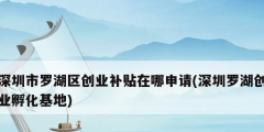 深圳市羅湖區創業補貼在哪申請(深圳羅湖創業孵化基地)