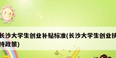 長沙大學生創業補貼標準(長沙大學生創業扶持政策)