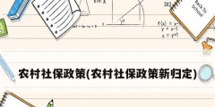 農村社保政策(農村社保政策新歸定)