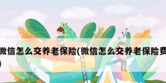 微信怎么交養老保險(微信怎么交養老保險費)