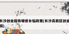 長沙創業園有哪些補貼政策(長沙高新區創業園)
