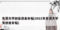 東莞大學創業資金補貼(2021年東莞大學生創業補貼)