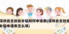 深圳自主創業補貼如何申請表(深圳自主創業補貼申請表怎么填)