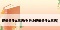 現值是什么意思(財務凈現值是什么意思)