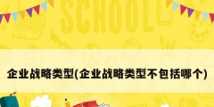 企業戰略類型(企業戰略類型不包括哪個)